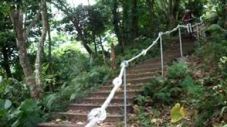 20090517 060 大橘白貓空首航 - 09