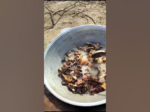 Курдюк и мясо молодой барашка в горах.گوشت و دومبی برچه در کوه TJK ...