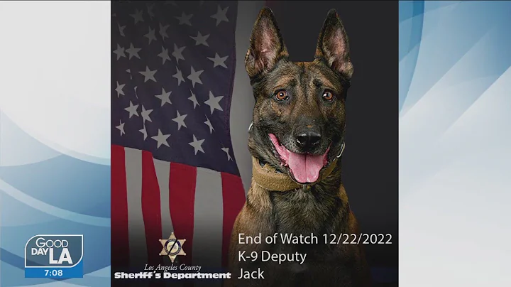 Sheriff K9 killed during barricade in Gardena