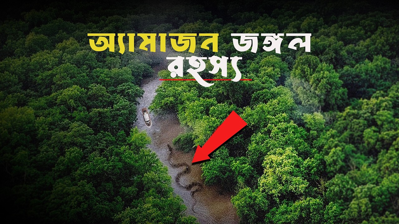 অ্যামাজন জঙ্গলের সবচেয়ে ভয়ঙ্কর রহস্যের প্রমাণ ! Proof Of The Mysteries Of The Amazon Forest