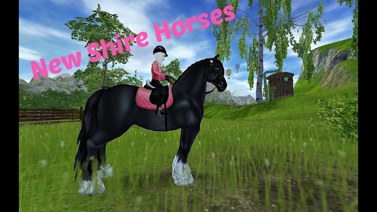 Shire Horse Reiten Shire Horse Reiten
