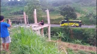 Basuri tisal trans grup Tsubasa cinta merah jambu 