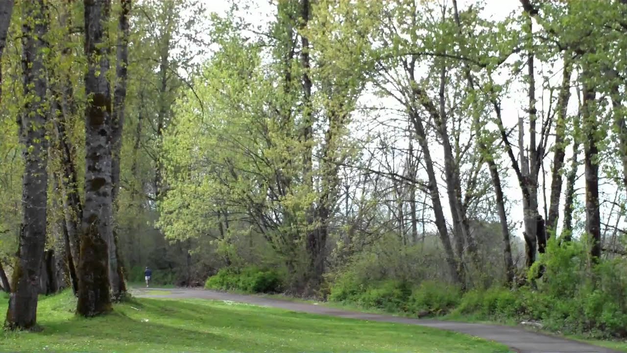 Minto Brown Island Park Salem, Oregon Part 1 YouTube
