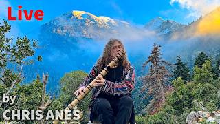 Ancient Echoes of Greece | 24/7 Live Shamanic Drums &amp; Native American Flute