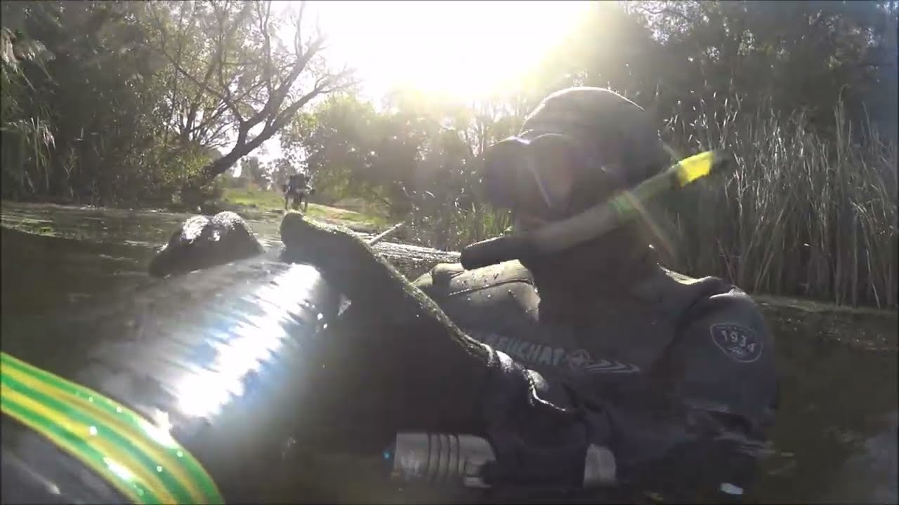 Подводная охота в городе. Закрытие сезона тремя щучками и летний жерех на пятёру!