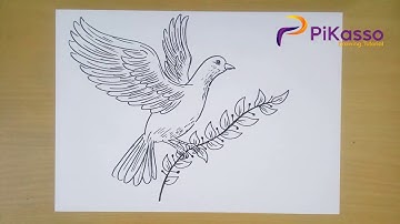 How to Draw a Dove with Olive Branch step by step