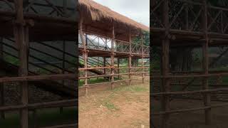 IMG 4445