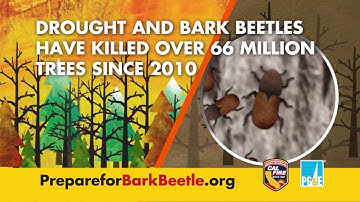 "Remove Your Dead Tree" PSA - 15 Second Version