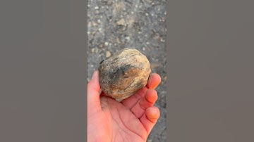 How to find perfect ammonite fossils for yourself! Fossil hunting on the remote Yorkshire Coast 🔨