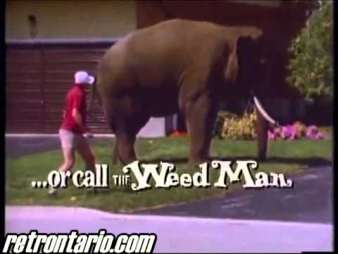 The Weed Man 1984