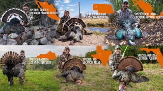 The World Turkey Slam | Mark V Peterson Hunting