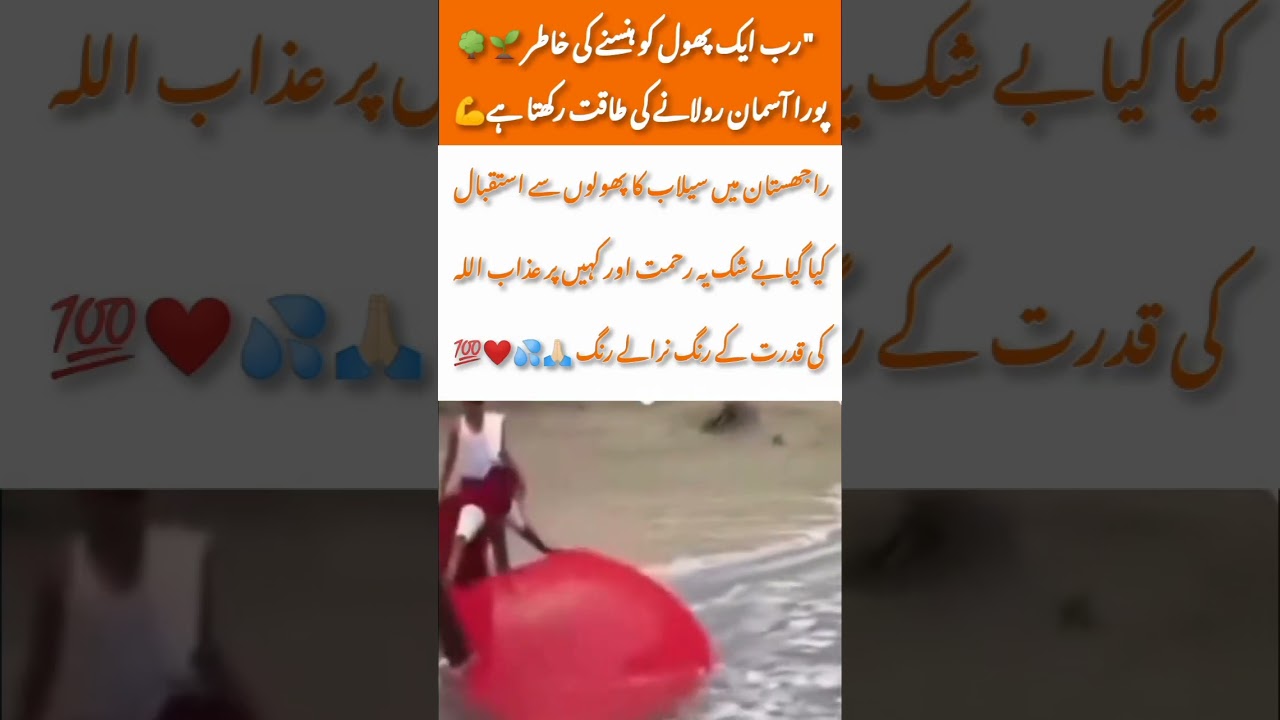 Power of Nature’s Signs 🌸🌧️ 