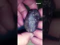 Carbonado Black Diamond Meteorite