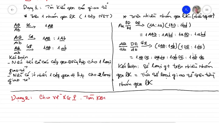 Bài tập hoán vị gen tô hợp gen năm 2024