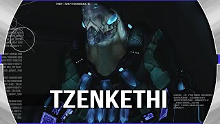 TZENKETHI: Cultural Index