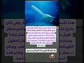 هذا خلق الله فاروني ماذا خلق الذين من دونه Shorts 
