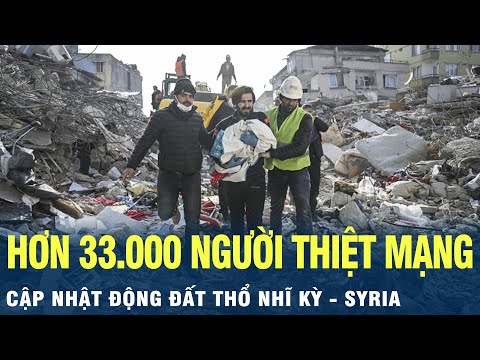 Cập nhật động