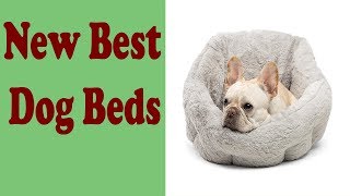 New Best Dog Beds In Amazon.