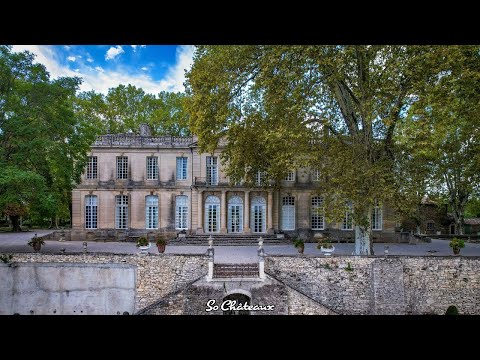 Vidéo: Quelque chose de nouveau: les chiots sous les projecteurs du mariage de couple en Caroline du Nord