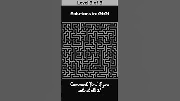 Maze Puzzle Brain Game: Can You Solve All 3 Levels? 🧩