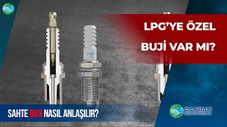 Is There Special LPG Spark Plug For PG Vehicles? How to Spot a Fake Spark Plug?