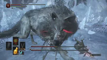 Dark Souls 3 - Champion Gravetender & Great Wolf Boss Fight