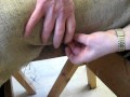 building edge roll.AVI