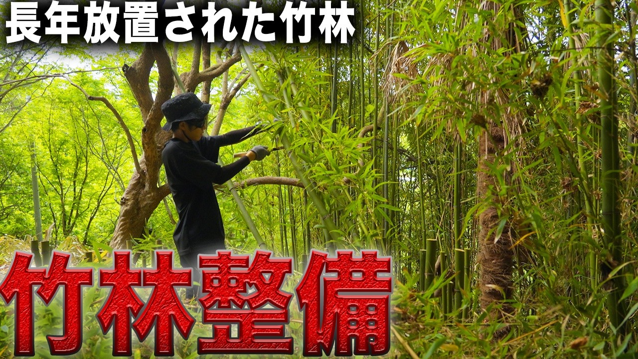 大量の竹で日陰になっている廃墟に光を取り戻したい… - YouTube