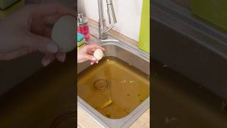 Wrzuć Jajko Do Zlewu. Genialny Trik, Który Czyści I Chroni