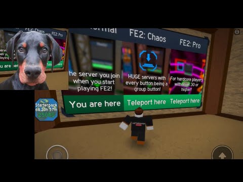 roblox anime cross2 codes roblox how to get free doge hat