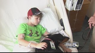 What’s Working: Pet Therapy Dogs Needed