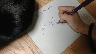 Let's write "I love you" in Japanese!