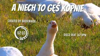 BASSENIASH - BEAT DISCO POLO😁😁🤗A NIECH TO GĘŚ KOPNIE 😁🤗147 BPM