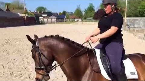 trim AD626A30 70C3 4DEF 873D A40BBFA2E05A