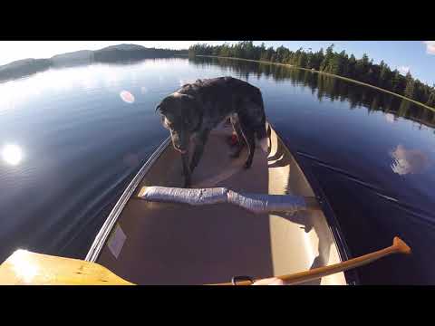 Paddling on a mirror- Canoeing in the Adirondack Lakes, NY - GoPro