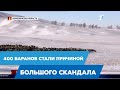 400 баранов стали причиной большого скандала в Акмолинской области