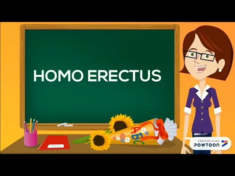 Видео: Homo Erectus може да е изчезнал много по-рано от появата на Homo Sapiens - Алтернативен изглед