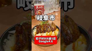 【岐阜の隠れた餃子名店】焼き餃子・水餃子・餃子タッカルビが全部うますぎた…