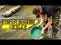 Tennessee Gold Mining!