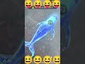 😆funny video