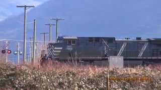 Trains #646 CEFX Leading   2016-02-08