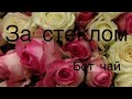 Добрый день.отвечаю на вопросы по рассаде и не только))