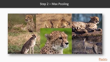 Hands-On Deep Q-Learning: Convolutional Neural Network|packtpub.com