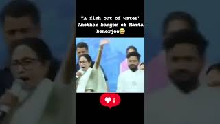 “Mamata Banerjee’s Powerful Stage Moment 🔥 | Crowd Goes Wild!”#MamataBanerjee #IndianPolitics