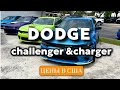 DODGE challenger USA