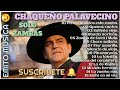 Lo Mejor del Chaqueño Palavecino Vol 3 // Solo Zambas