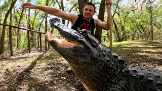 Bella gator eats a whole turkey leg, sanctuary vlog!