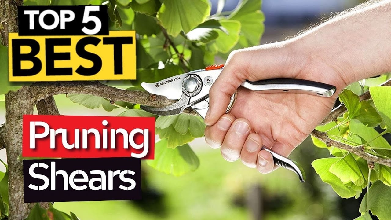 ClassicPro Titanium Pruning Shears - Best Tree Trimmer, Garden Shears, Hand