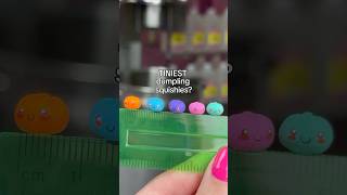 World's Tiniest Dumpling Squishies