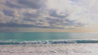 Beautiful seen video.amazing nature video,Love nature and relaxation film,Nature Beauty film screenshot 3